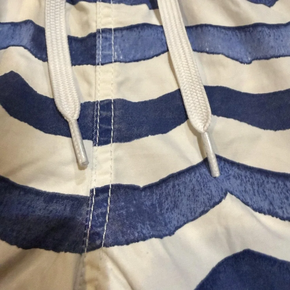 Chubbies Swim Shorts Mens Small Blue Wave Stripe Mesh Lined Quick Dry Trunks